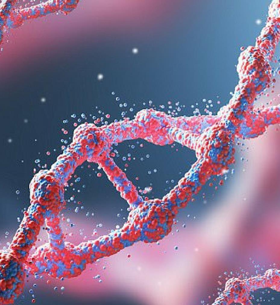 Nutrigenética e Nutrigenômica Nutrigenética estuda o efeito da variação genética em resposta à dieta. Nutrigenômica estuda o papel dos nutrientes e compostos bioativos de na expressão dos genes.