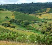 200ha que inclui os concelhos de Almodôvar, Loulé, Silves, Tavira e São Brás de Alportel.