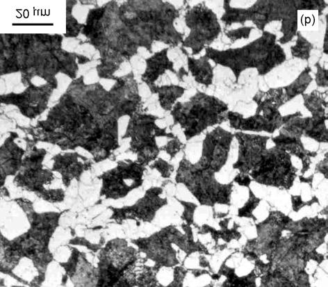 Figura 1: Micrografias óticas apresentando a microestrutura ferrítico-perlítica observada nos aços NbTiV (a) e V (b), revelada pelo ataque da superfície polida com nital a 2%. Aumento: 500 X.