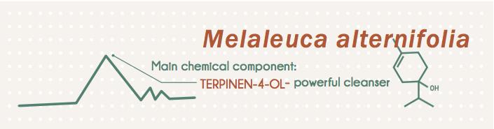 Floral: Tipicamente composta de monoterpene álcoois e ésteres, que fornecem características calmantes Harmonização das características dos álcoois monoterpene como terpinen-4-ol em Melaleuca também