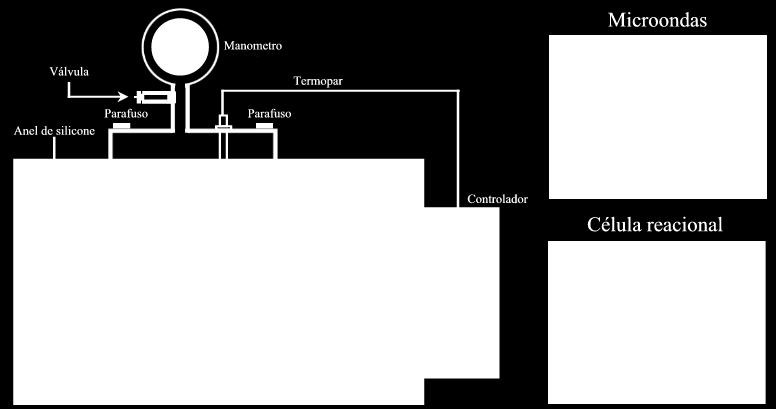 44 A célula reacional é constituída por uma válvula de segurança; monômetro, para monitoramento da pressão; compartimento reacional; e termopar, para verificação da temperatura do meio.