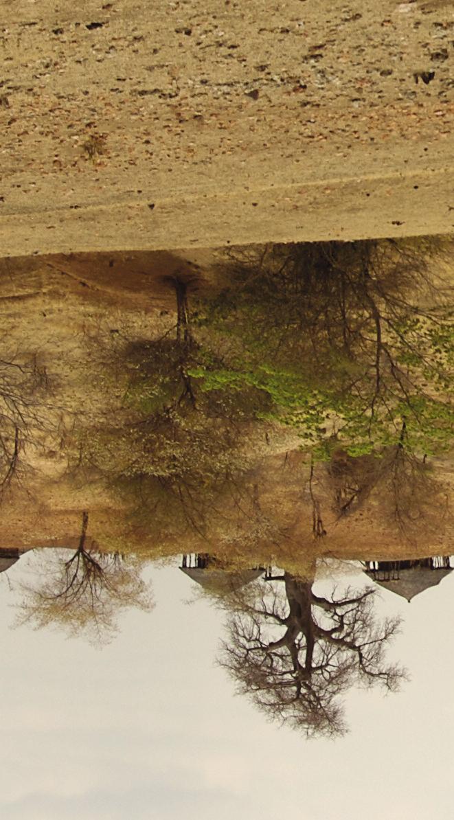 . Adaptação as Mudanças e Variabilidade Climática Clima na Bacia do Zambeze está mudando e os impactos já se fazem sentir.