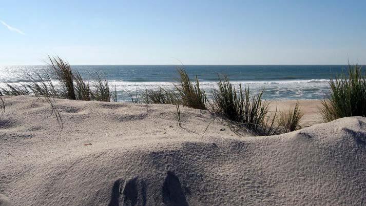 2 - A área correspondente às dunas costeiras é delimitada, do lado do mar, pela base da duna embrionária, ou frontal, ou pela base da escarpa de erosão entalhada no cordão dunar, abrangendo as dunas