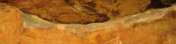 Fotografia 11: Onça sobreposta e capivaras logo abaixo Em outra área do suporte, uma fila com quatro emas aparece coberta por uma pátina de cor terra, bastante espessa.