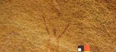 Um antropomorfo (medindo cerca de 35 cm) com o corpo preenchido por uma linha em zig-zag, braços levantados, mãos com três dedos cada e pernas em u foi produzido em uma área extremamente porosa