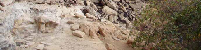 2.2 A Toca do Boqueirão do Sítio da Pedra Furada (número 23) é o abrigo sob rocha, de constituição arenítica, mais bem conhecido da área do Parque Nacional.
