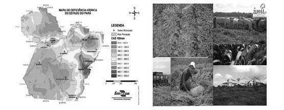 62 Resumos da XXXII Reunião de Pesquisa de Soja da Região Central do Brasil - São Pedro, SP, agosto de 211 Figura 3. Mapa de de ciência hídrica (CAD=1 mm), período de 1961 a 199, no Estado do Pará.