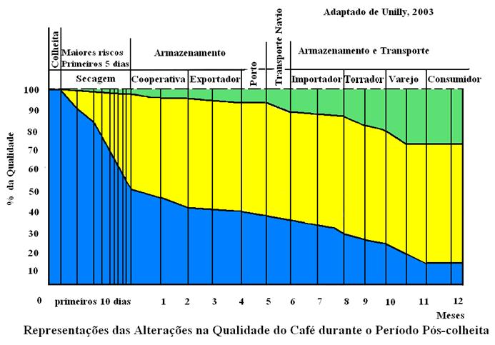 quando ele é destinado ao consumo. Como se vê, é durante os três primeiros dias que o cafeicultor deve ter o máximo de cuidado.