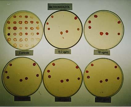 A concentração do antimicrobiano utilizado no teste e sua via de administração indicam aos médicos o tratamento mais eficaz para cada infecção.