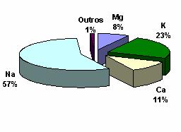 59 5.5. Balanço Iônico O padrão para a composição média em termos das principais espécies catiônicas determinadas neste estudo (por ICPOES) segue a seguinte ordem: Na + > K + > Ca +2 > Mg +2.