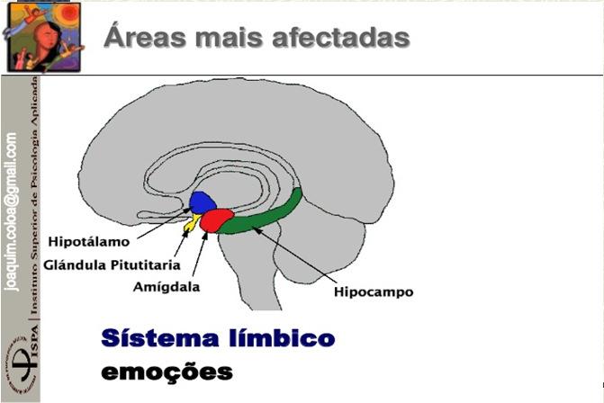 (porções posterior e inferior do cerebelo).