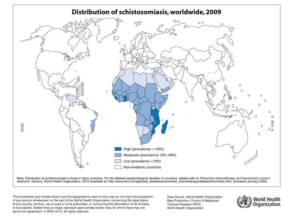 Distribuição geográfica mundial (fonte OMS) Organização Mundial da Saúde estimou que