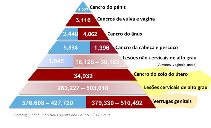 Era uma vez o vírus HPV ESTIMATIVA ANNUAL.