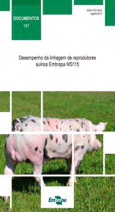 Desempenho da linhagem - Experimento Característica avaliada Embrapa MS 115 Genética x Desempenho dos leitões no crescimento-terminação Espessura de toucinho, mm 19,413 20,025 Profundidade do lombo,