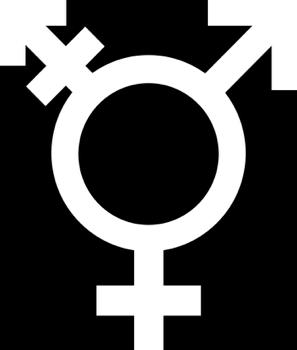 Chave para compreender interação sexo-gênero na descrição dos resultados: Relação Sexo x Gênero MM: sexo masculino, gênero masculino FF: