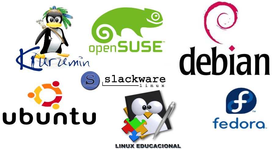 Linux Diversas empresas oferecem o Linux em um pacote (chamados de distribuições Linux) com programa de instalação, interface gráfica,