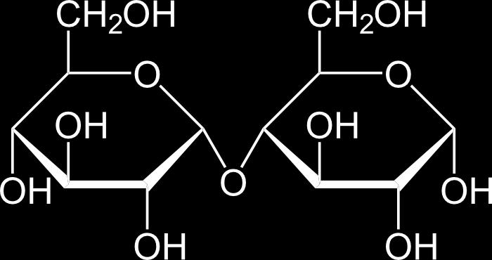 Hidrólise Maltose +