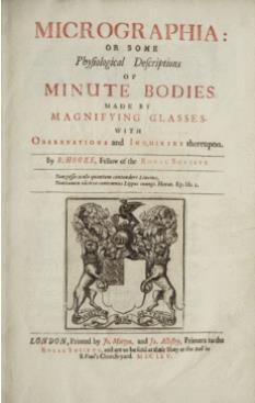 Após o planejamento de Antony van Leeuwenhoek, o primeiro biólogo a utilizar o microscópio para experiências científicas e do instrumento executado pelos Janssen, Robert Hooke utilizou o microscópio