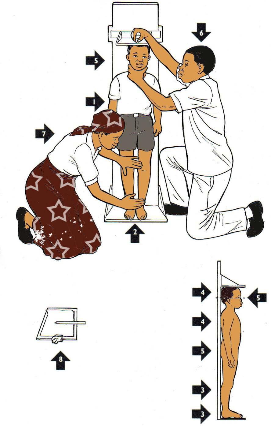 Placa de Medição da Altura [24 Meses ou Mais ou 87 cm de Estatura ou Mais] 1. Coloque a criança na placa de medição, de pé e no meio da placa, com os braços de lado. 2.