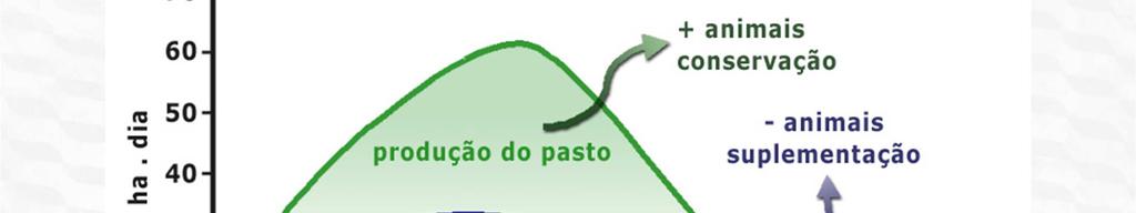 Produção