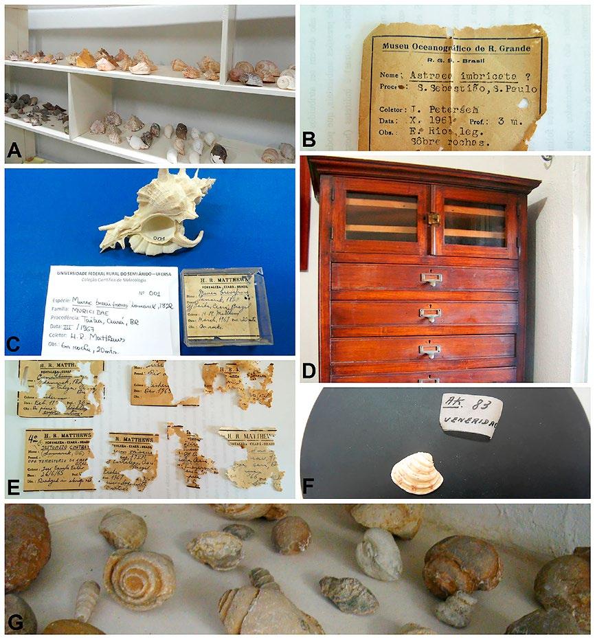 Figura 1 - Fotografias do material encontrado na Universidade Federal Rural do Semi Árido. A: Coleção particular do professor Henry R.