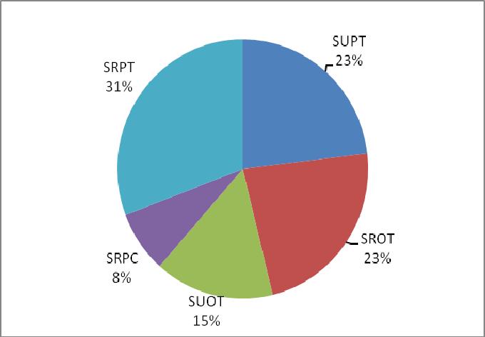 42 de pista simples, onde a classe SRPT (Simples, Rural, Plano, Tangente) destacouse retendo 31% dos segmentos críticos do estado.