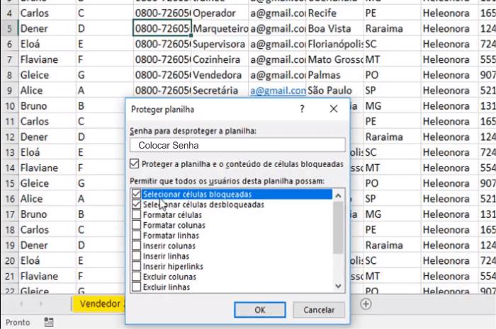 Após proteger a planilha só será possível editá-la ou fazer qualquer alteração com a planilha desprotegida com a senha que foi adicionada.