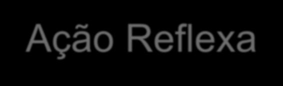 estruturas: - Receptores Sensoriais; - Fibra Sensorial;