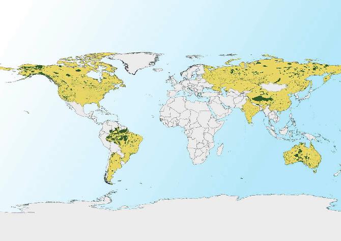 Segundo dados da International Union for Conservation of Nature (IUCN), os 9 países com mais de 2,5 milhões de quilômetros quadrados existentes no mundo (China, EUA, Rússia etc.