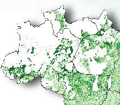 A cada 10 anos, o Censo do Instituto Brasileiro de Geografia e Estatística (IBGE) faz um levantamento exaustivo do uso das terras nos estabelecimentos agropecuários brasileiros, mas são informações