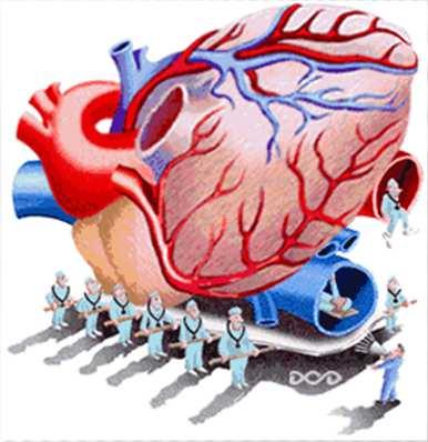 Cuidados de Enfermagem: Hipertensão Arterial Proporcionar ambiente tranquilo para favorecer o repouso e relaxamento; Verificação dos sinais vitais