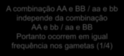 cromossomos homólogos na metáfase I A