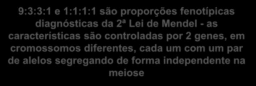 9:3:3:1 e 1:1:1:1 são proporções fenotípicas diagnósticas da 2ª Lei de Mendel - as características são controladas