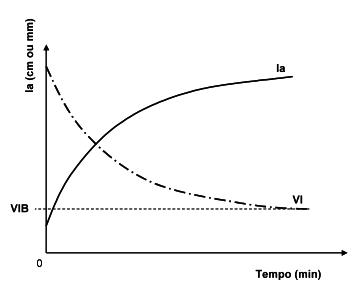 Velocidade de infiltração instantânea (VInst): É dada pela derivada da infiltração acumulada (Ia) em relação ao tempo (t).