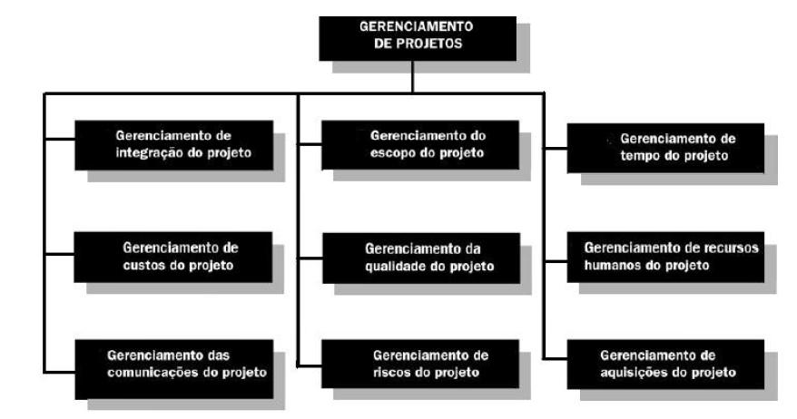 Ainda com base no guia, pode-se compreender que cada um destes processos normalmente é subdividido em 9 áreas do conhecimento, assim descritas: Integração, Escopo, Tempo, Custos, Qualidade, Recursos