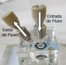 Sistema de injeção em fluxo com célula eletroquímica do tipo wall-jet As análises por injeção em fluxo foram realizadas utilizando uma bomba peristáltica modelo BP-200 Millan, fornecendo um fluxo