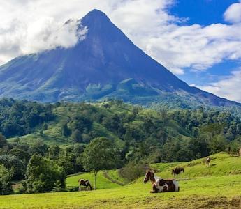 EXTENSÃO À COSTA RICA - opcional- Costa Rica, um país minúsculo, mas com uma riqueza natural tremenda: inúmeras florestas tropicais, milhares de espécies de plantas e animais, uma cordilheira de