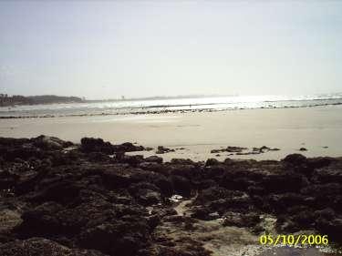 destacando os sítios de coleta dos peixes intertidais; Ilha do Medo,