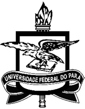 UNIVERSIDADE FEDERAL DO PARÁ ENIZETE ANDRADE FERREIRA AUTOEFICÁCIA