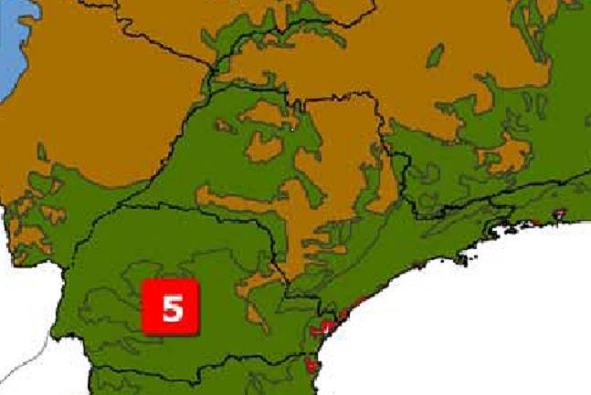 7 O PARANÁ pertence quase totalmente ao BIOMA MATA ATLÂNTICA (com exceção dos CAMPOS GERAIS) O ESTADO DE SÃO PAULO