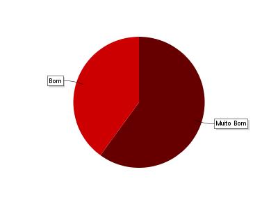 3.3 Trabalho da equipa na criação de instrumentos de apoio ao trabalho escolar e aos utilizadores. Muito Bom 4 40,0% Bom 5 50,0% Razoável 1 10,0% 3.