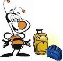 Não abandone suas colmeias! Não use melgueiras excessivas nas colmeias. E retire as que não estão ocupadas pelas abelhas.