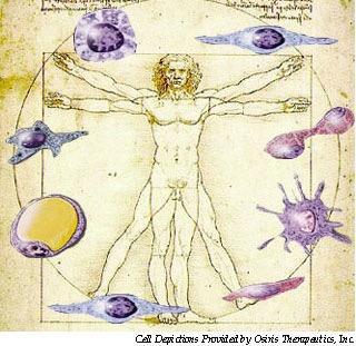 perspectiva de chegada da terapia celular à prática médica indefinido ainda Que doenças podem ser tratadas em humanos?