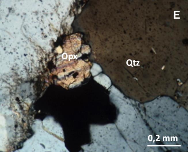 aos cristais de biotita. A foliação é marcada pela orientação dos cristais de biotita e piroxênio além de quartzo e granada estirados (Figura 5 A).