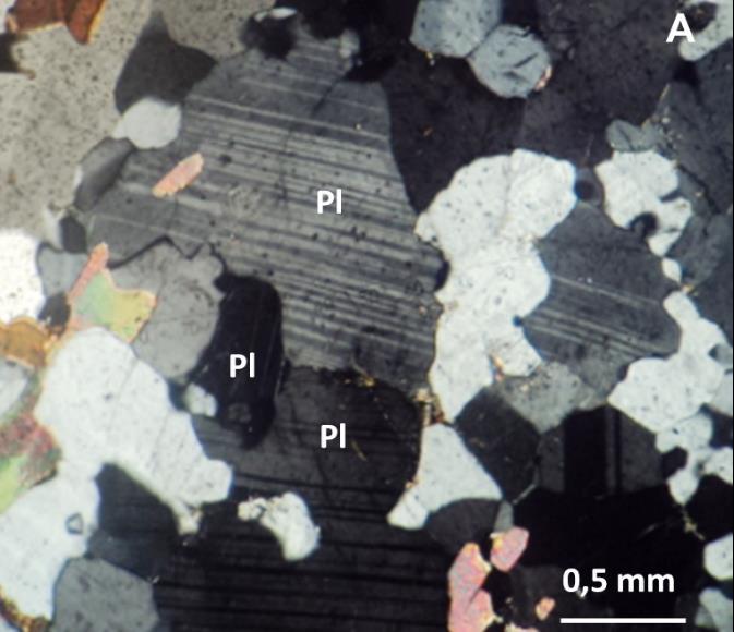 Em lâmina observou-se que o plagioclásio pode ocorre como porfiroclastos de até 3,5 mm ou como grãos recristalizados na matriz.