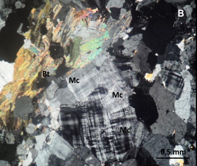 Tanto os cristais de k-feldspato quanto os de plagioclásio possuem feições características de recristalização dinâmica.