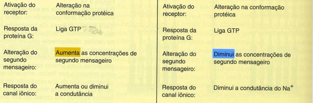 Sob muitos aspectos, esse processo é análogo à transdução de sinais químicos em sinais elétricos que ocorre durante a transmissão sináptica. Em um receptor de neurotransmissor acoplado à proteína.