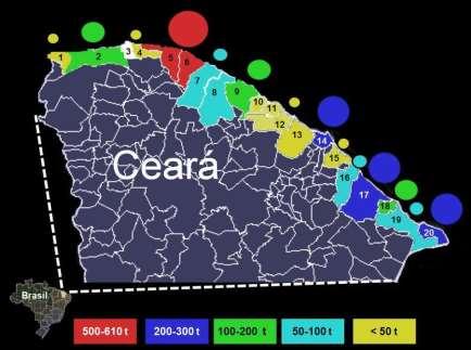 32 Dentre os municípios produtores de lagostas do estado cearense, destacam-se, com relação a maior quantidade de desembarques entre os anos de 1999 a 2006, Itarema e Acaraú, com produção variando