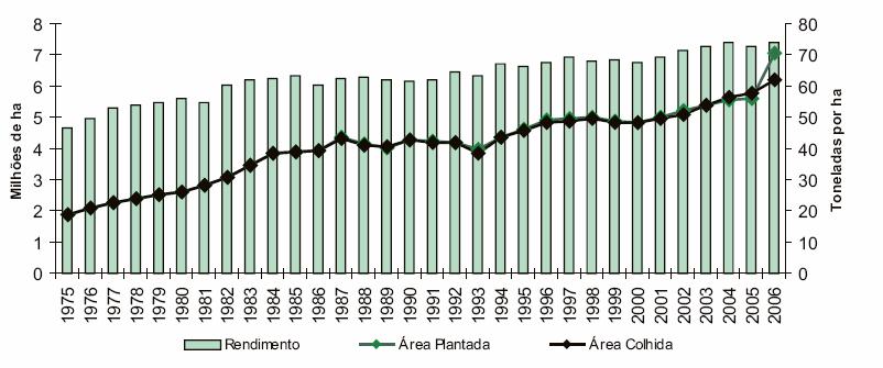 O Setor Canavieiro Nacional Evolução da área de produção e da produtividade brasileira de cana-de-açúcar. 7,64 M ha A.