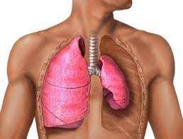 Oxigenioterapia; Exercícios respiratórios.